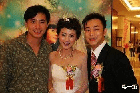 泰迪|《外来媳妇本地郎》的阿奇，他成为黄菲和毛琳之间无法逾越的障碍