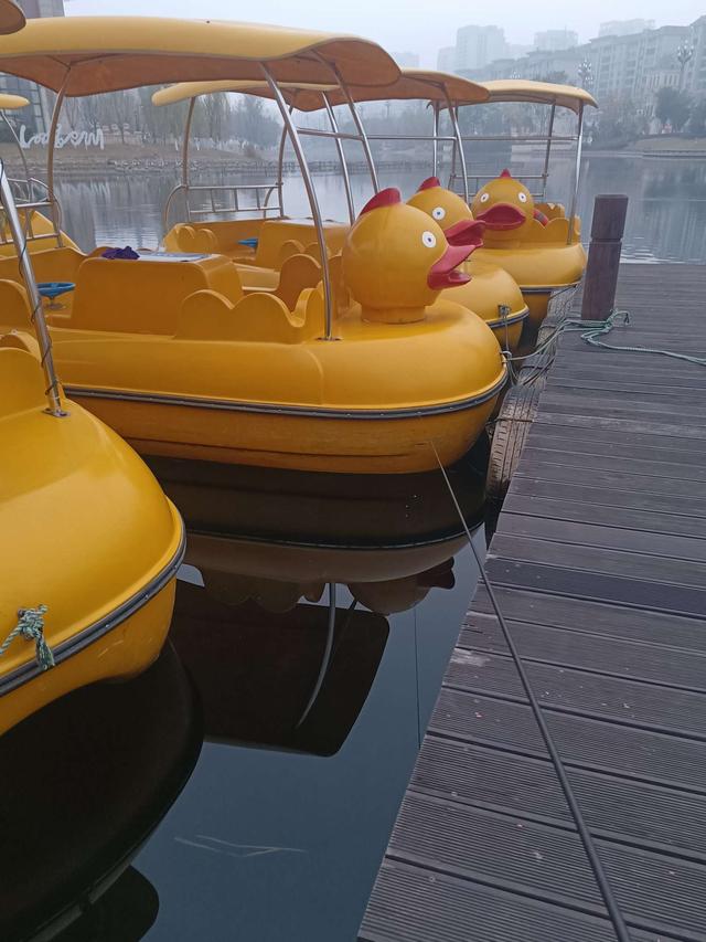 |元旦三天活动结束，标鱼依旧不见踪影