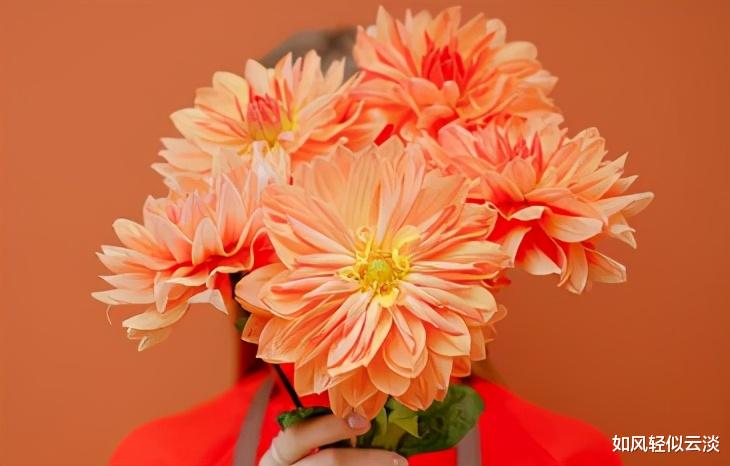 安禄山|中年人在职场，别小瞧任何人