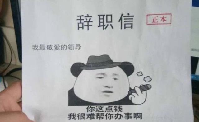 人才市场|人才市场中的“怪象”：应届生毕业不见踪影，他们都找到工作了？