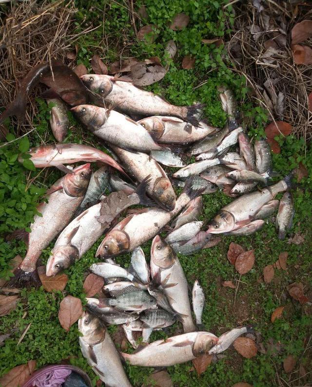 |爆护和走空都能让你戒钓,原因其实很简单