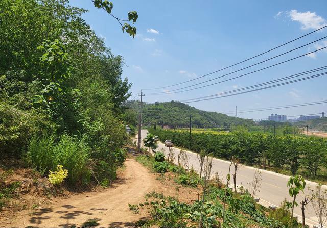 网传高考601分遇害女生的哥哥跳楼身亡,年仅26岁,殡仪馆已证实