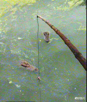 |坐地铁碰到最美阿姨,偷瞄被她发现了,该怎么办?