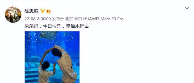 佟丽娅|佟丽娅带6岁儿子与好友聚餐,朵朵正面照曝光,眉目像爸爸陈思诚