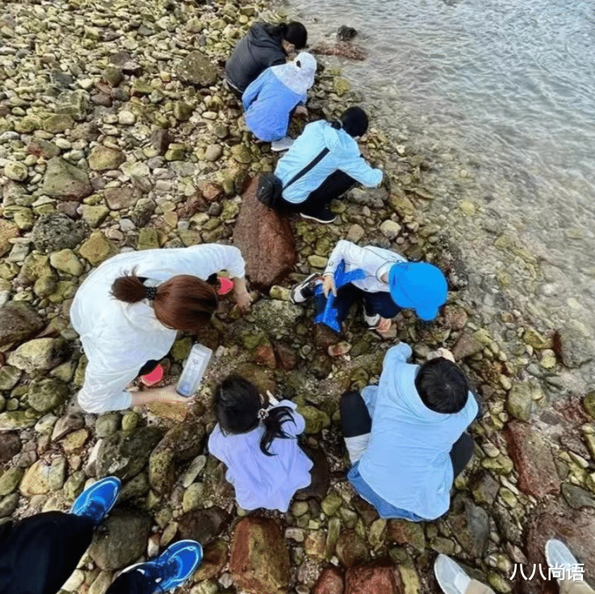 郭晶晶|郭晶晶一家五口久违同框!霍中曦与父母默契,霍中妍霍中怡成路人