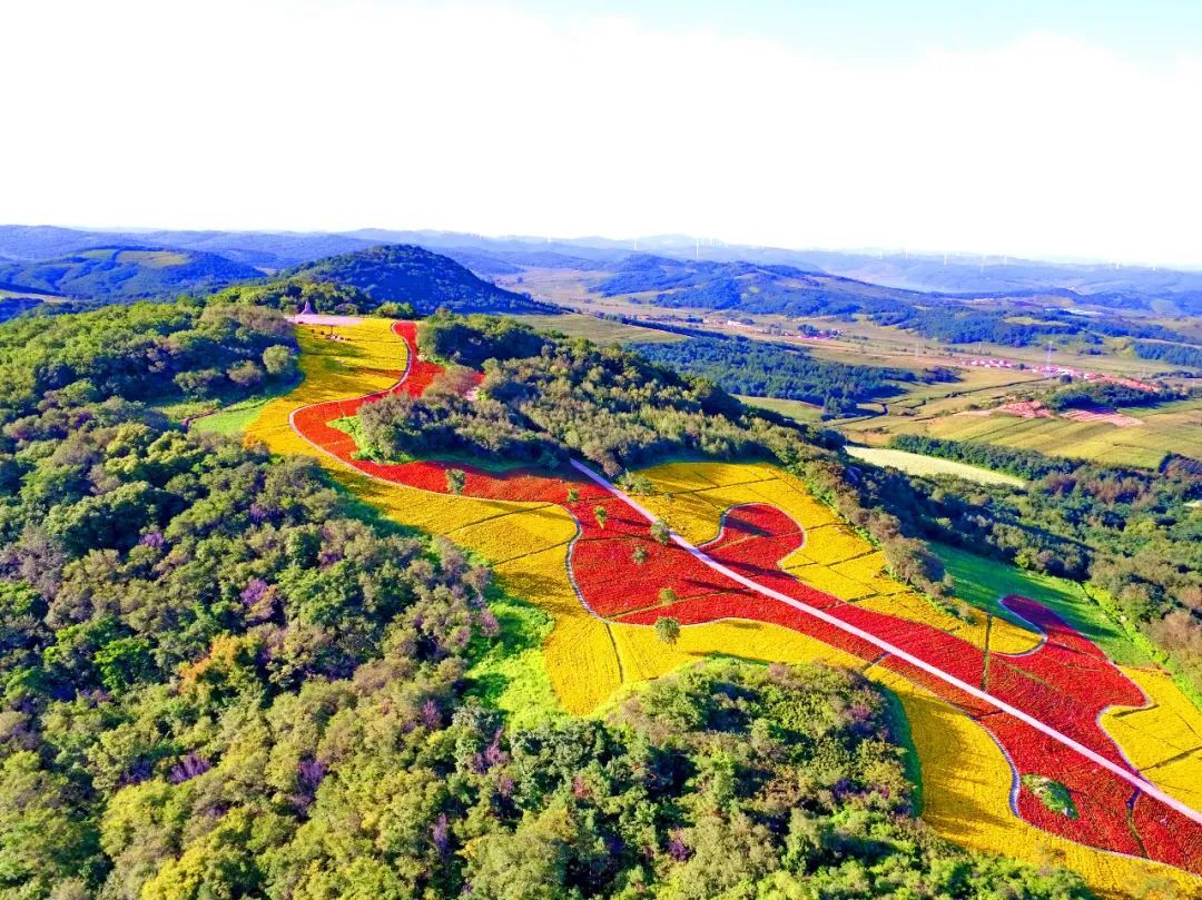 |青春环游记,怎能少得了一场“英雄之旅”!