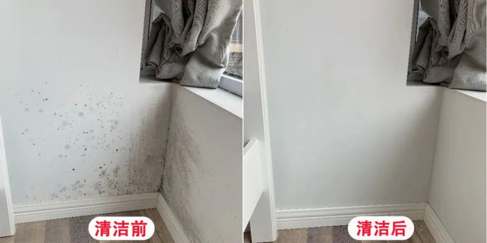 买前“瞧不起”,买后“真香”!这4样别听家里老人的,买就是了