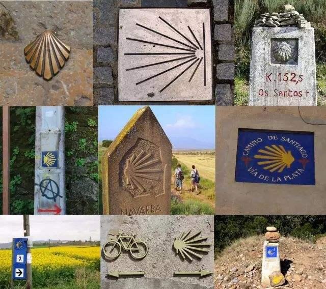 |这条路上的行人,为什么都要带着一个贝壳?