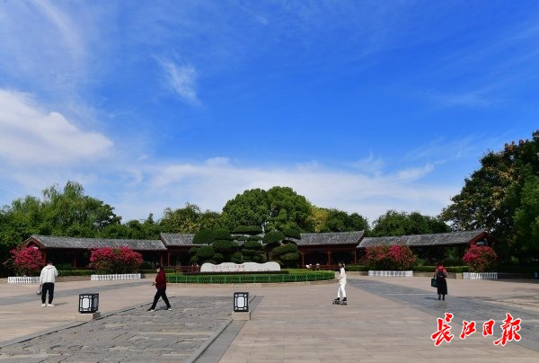 |蓝天暖阳秋光美