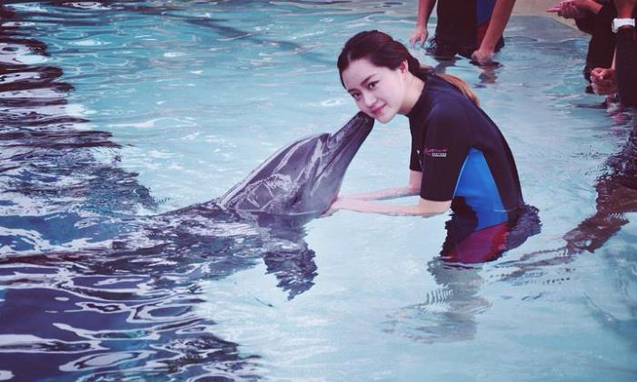 海豚为何如此亲近人类?看看你在海豚眼中长什么样,就不难理解了