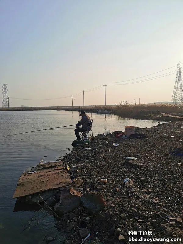|冬钓饵料选得好,板鲫一样不会少