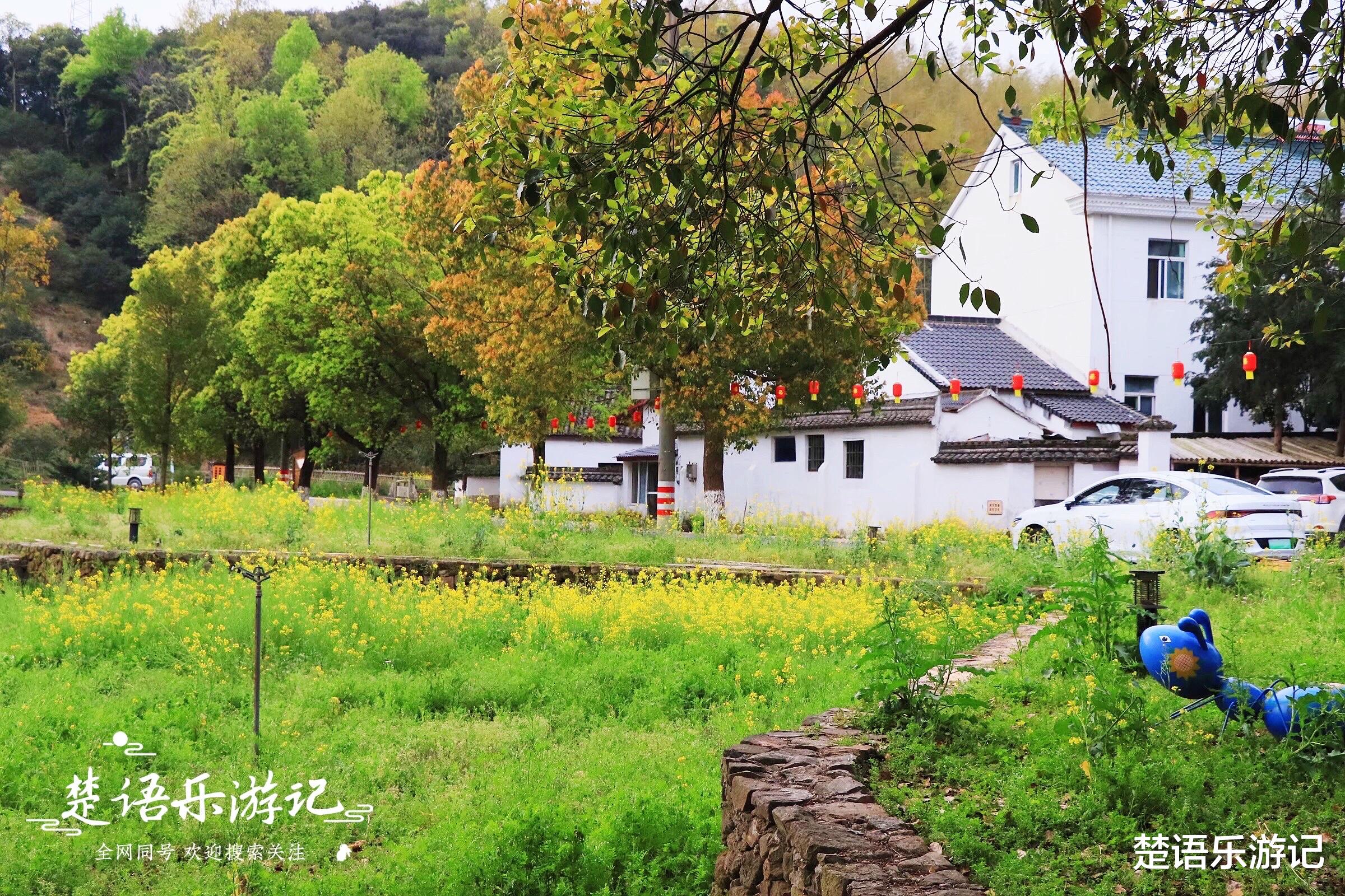 宁波|浙江宁波山岙中的美丽乡村，群山夹峙，清溪流淌，成热门天然氧吧