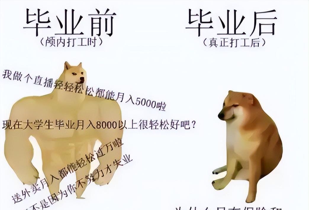 运动员|不担心“吃青春饭”的职业,年龄越大越吃香,退休后还可能被返聘