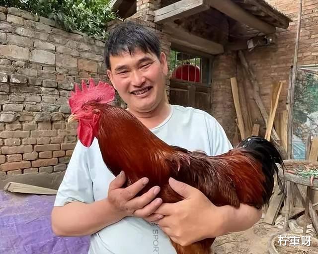 真捧场!曝村民推举大衣哥儿子小伟当村民,小伟能力遭网友质疑