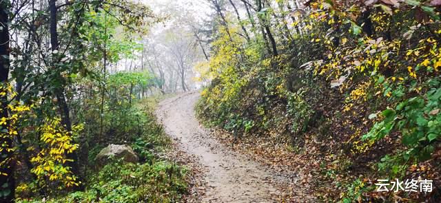 杭州|沣峪旁能轻松看山景的山头,适合家庭组团去,还有第一大的卧佛