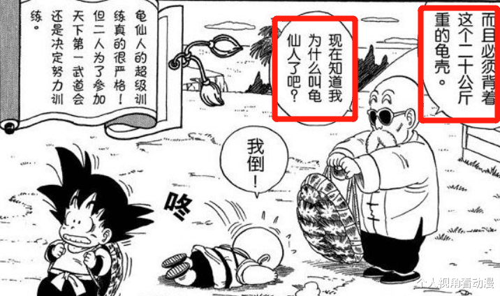 龟仙人|战斗力不强的龟仙人，为什么连比鲁斯都要称呼武天老师？原因在这