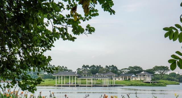 |实拍广州最大的人工湖，虽然颜值很高，但因为“偏僻”而游客不多