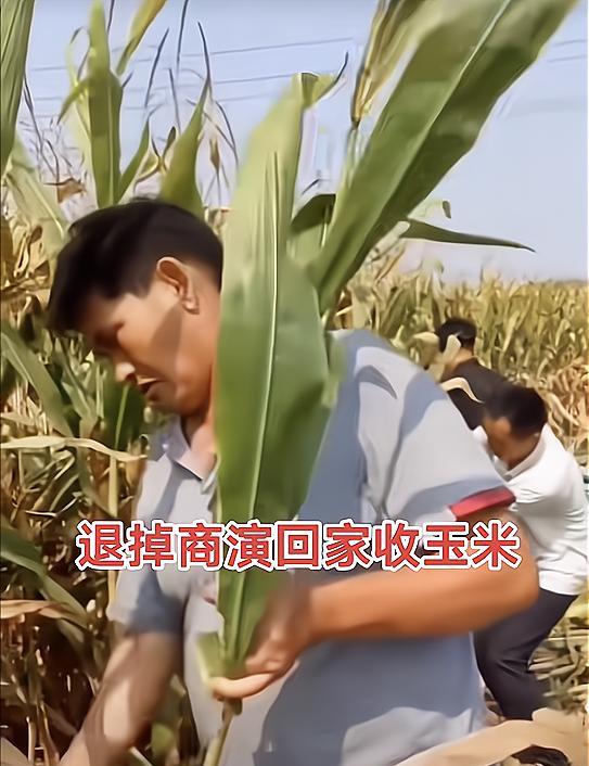 王宝强|农村出身的9位演员：王宝强熟练割麦子，黑子种菜有模有样