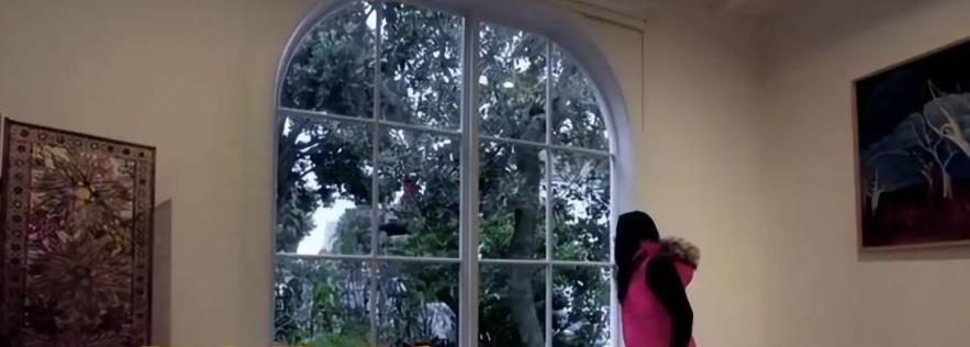 嘉定|谷爱凌豪宅被扒出,学霸家挂满各种收藏品,居住地址却引网友争论