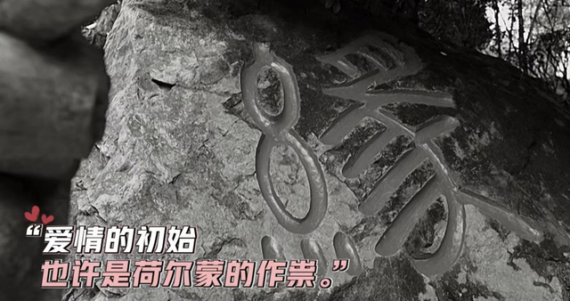 新游记|新游记：真人秀成相亲会，明星“月老”也难撮合，女生反应太真实