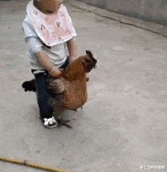 海景房|“老家旧房子打扫出来的瓶子，能不能换一套房？”要海景房！