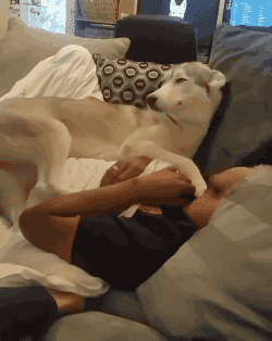 软件|“三大运营商都确认过了，说不是他们的线！”人是早上走的很安详