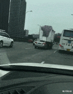 还珠格格|“看还珠格格，为什么尔康要搂着金锁？”求讲解！