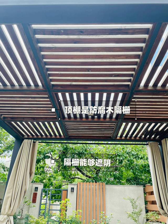 ?花3年时间,折腾一个低维护的小花园,院子这样装太适合懒人了!