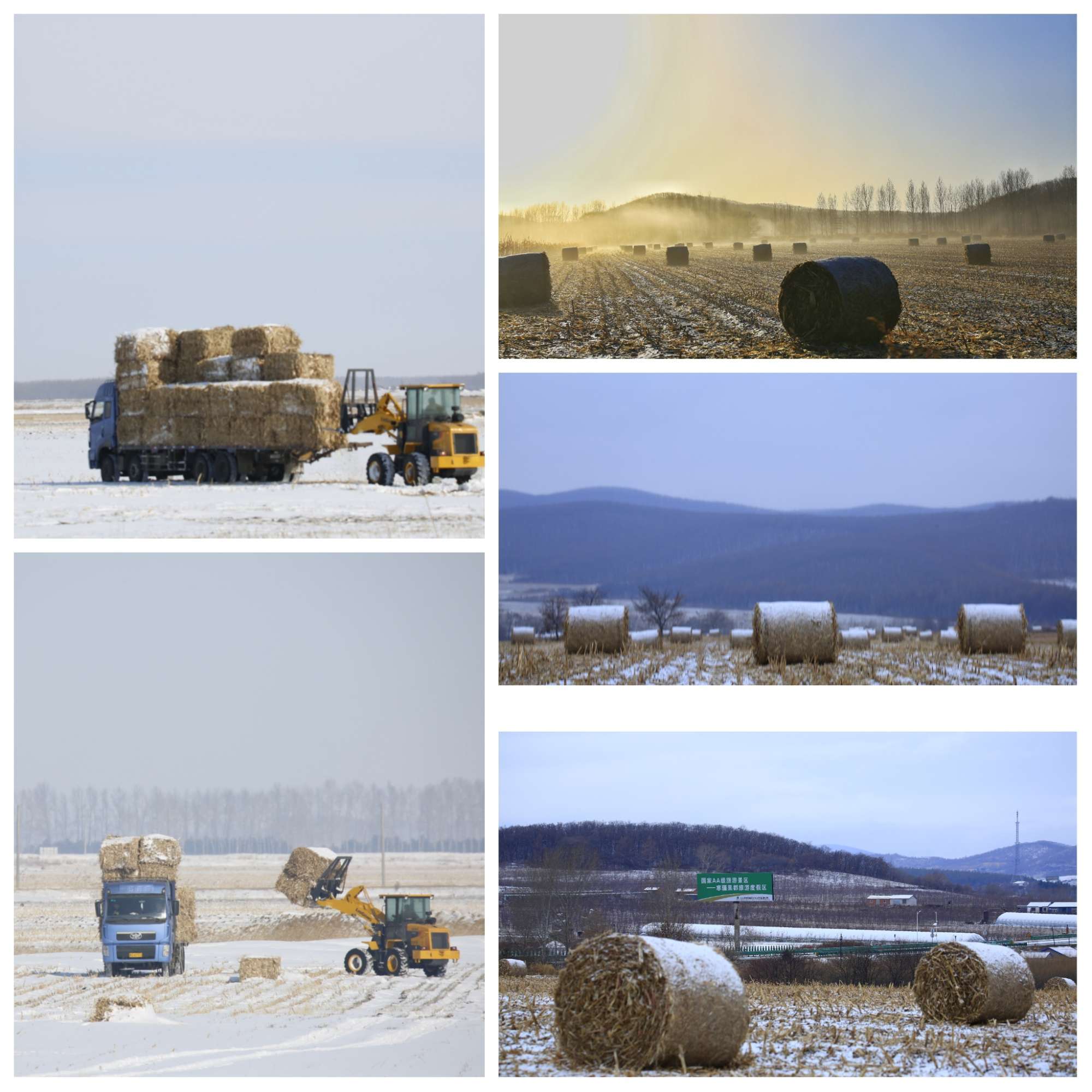 光雾山|卢一萍|米仓雪