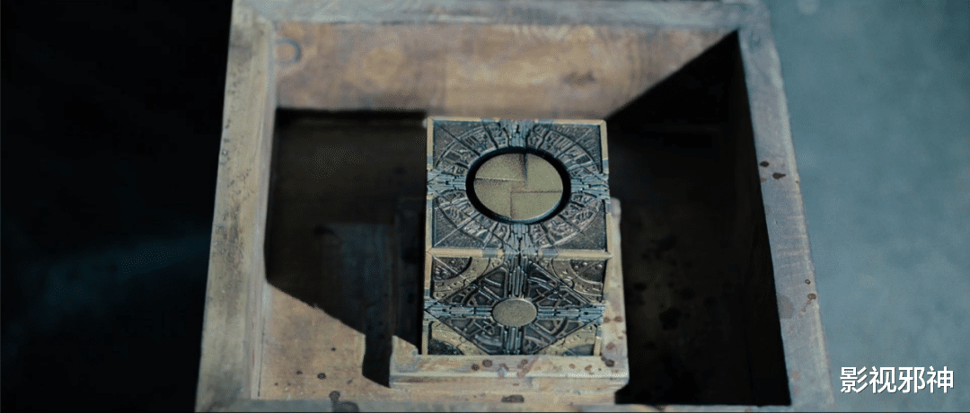 鲁豫有约|BDSM彻底被这片玩坏了……