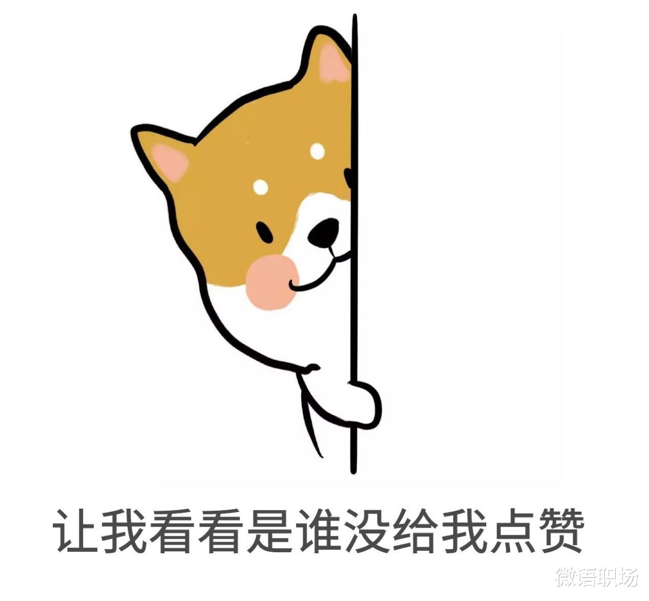 职业教育|干黄了8家公司后，我总结出规律：公司倒闭前，这6个征兆很明显