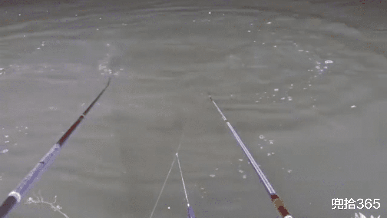 |钓鱼不成反被调戏，男子气得差点下水搏斗，网友：快收拾东西回家