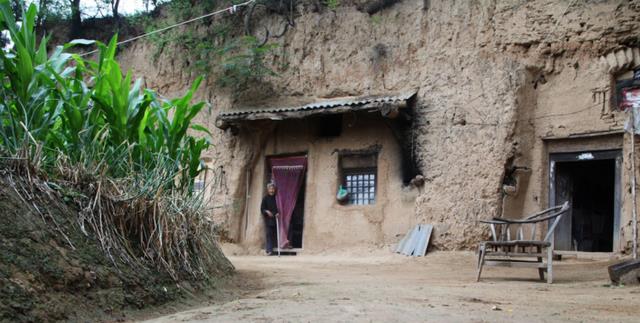 纪实:河南现“白发村”,男女老少通通躲不过,记者调查发现端倪