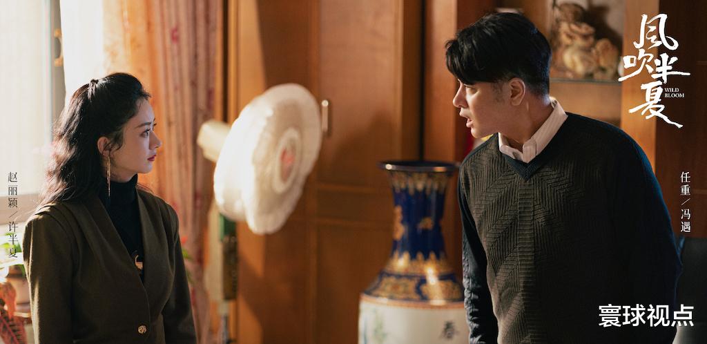 滤镜|《风吹半夏》真敢拍，赵丽颖舍弃的美颜滤镜，代表了时代的审美