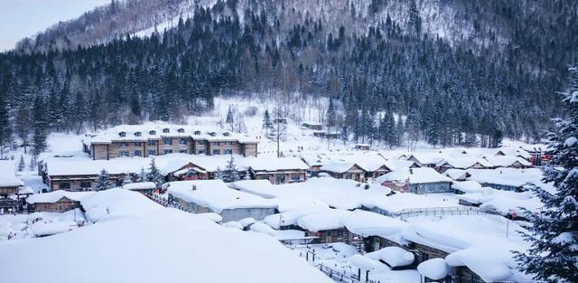 银装素裹分外妖娆，送你6个雪景摄影技巧，留住雪后惬意时光