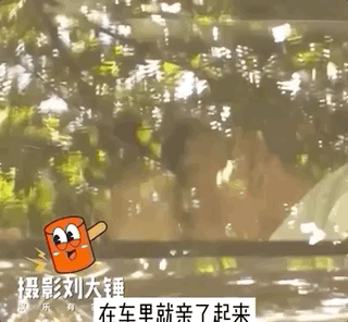 刘敏涛|47岁刘敏涛被拍车内和男子接吻,网友却大方祝福