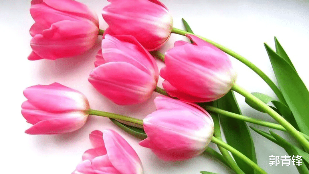 |不可能得到领导提拔的四种人,也许其中就有你