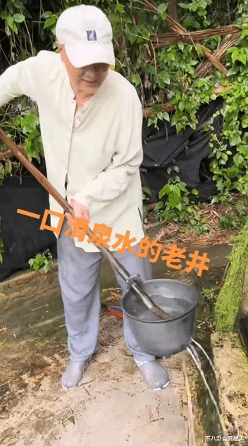 李嘉明|端午节假期10个瓜，拍戏落水溺亡，被告上法庭，花260万买狗