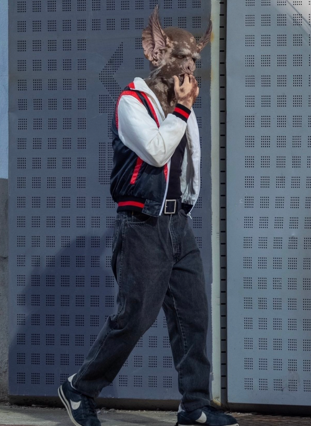 星爵|《银河护卫队》星爵出柜，成为双性恋，星爵演员曾被指责反同