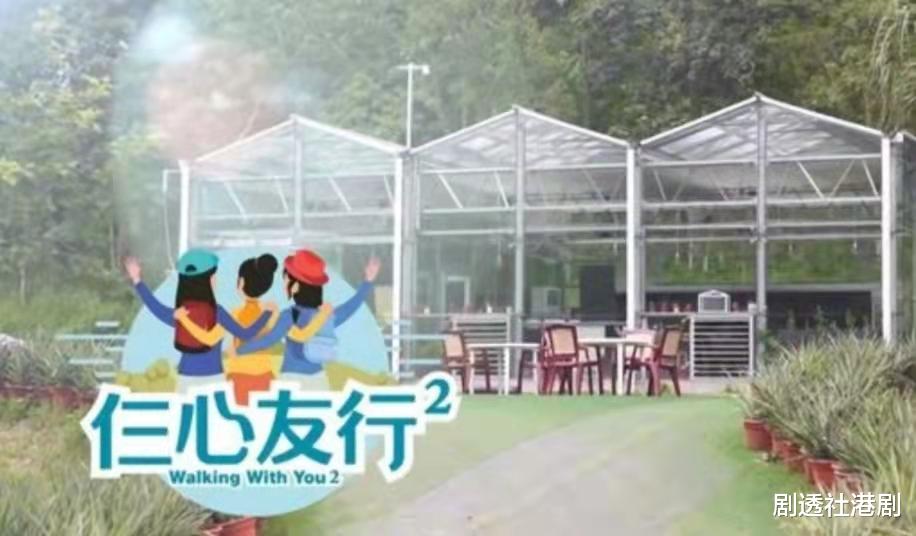 龚嘉欣|渴望有自己的家庭,TVB力捧小花16岁便入行,感慨一路上只有工作