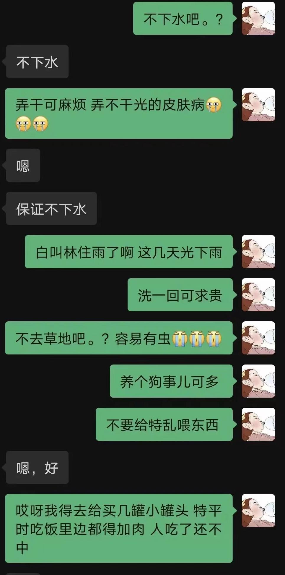 宠物医院|网友称爱犬在剧组拍摄离奇死亡，满嘴泥沙跟血，剧方回应被批凉薄