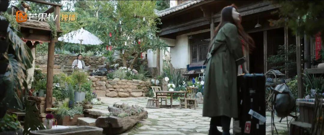 央视|《去有风的地方》感受草木温柔了时光治愈力!