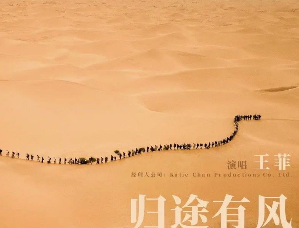 那英|那英的“堕落”,是华语乐坛的“悲哀”