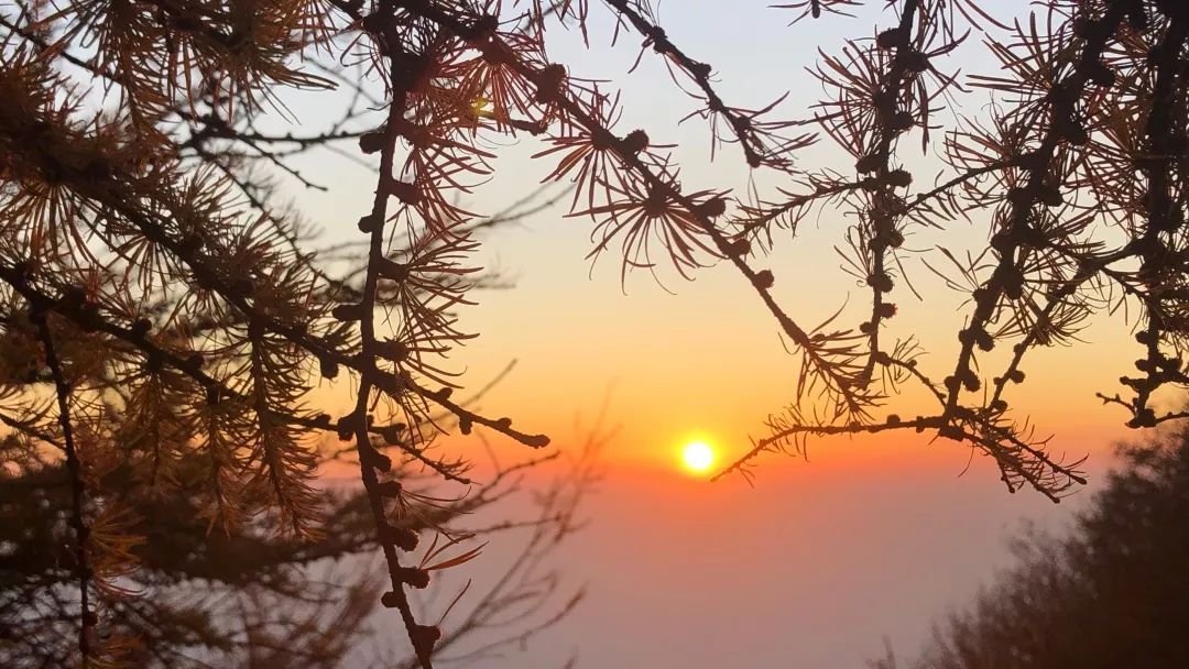日出|夜爬泰山看日出,逃出北京的24小时