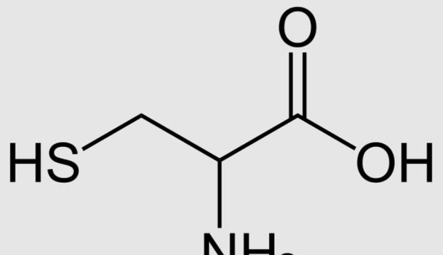 违背生命规律的生物有哪些?你听说过,跳出三界外的“太岁”吗?