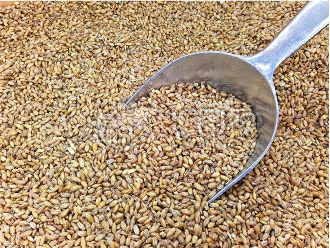 |渔乐杂谈：夏季钓鱼使用鱼饵的四个技巧