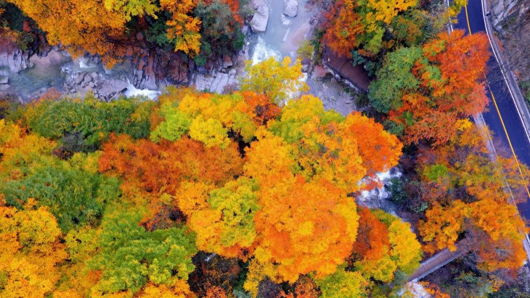 |光雾山赏秋攻略