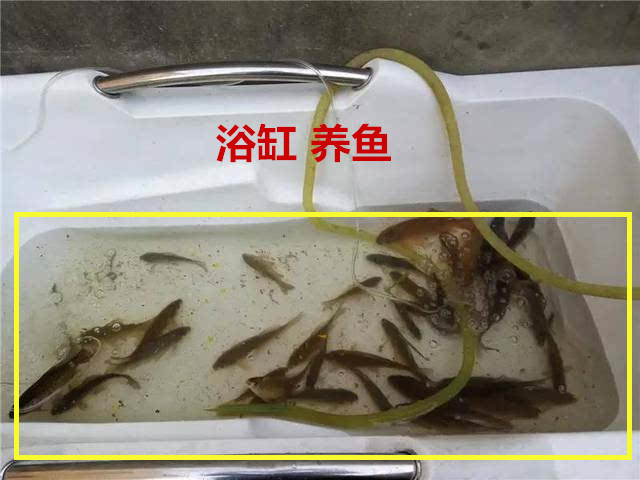 刚乔迁新房濒临崩溃!19大装修坑纯粹是制造麻烦,大跌眼镜!气晕