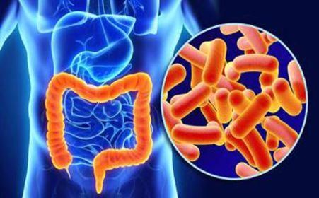 近视|屁多,是胃里的空气多?医生:并不是,小心这4种病“作妖”