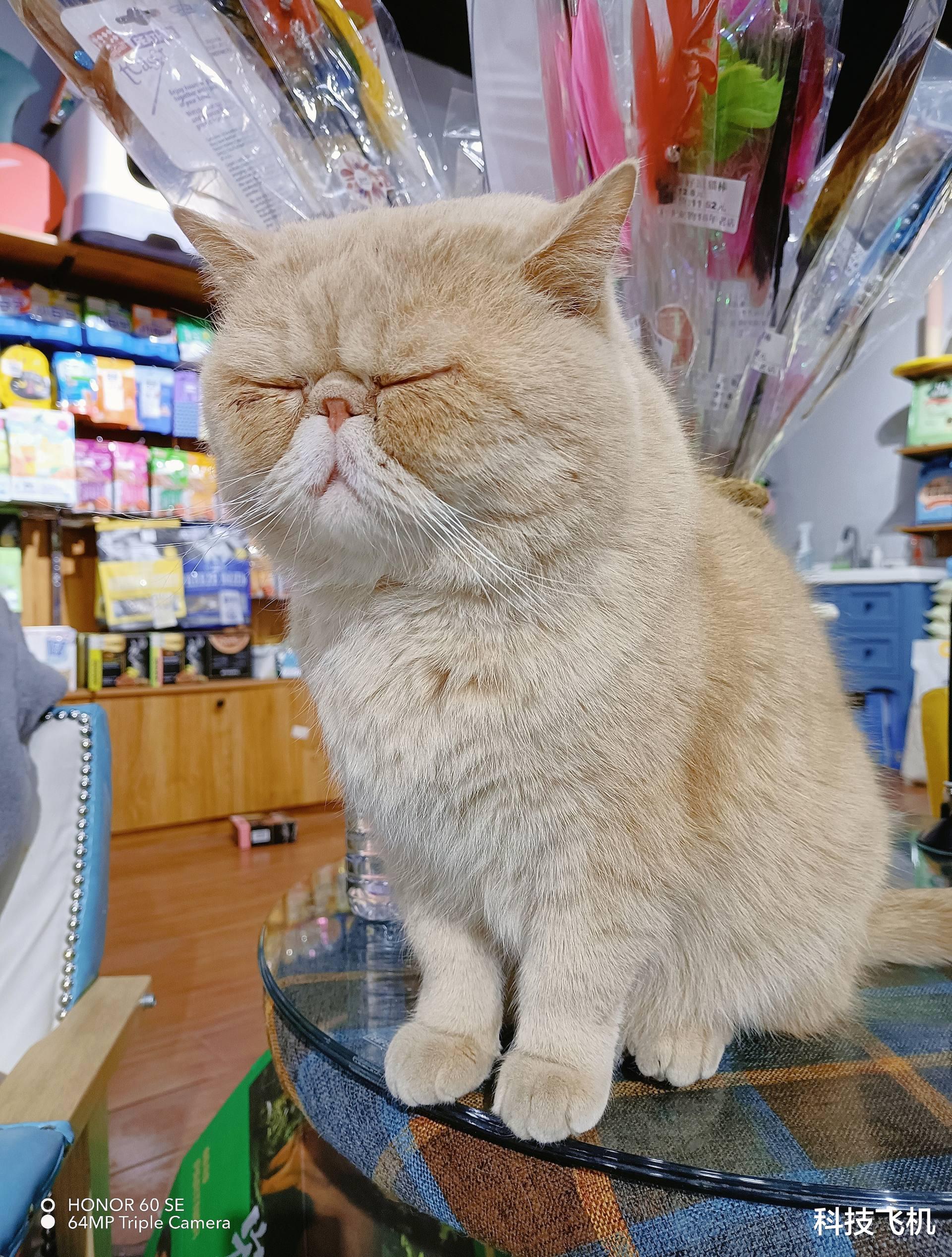 荣耀|同价位天花板配置，120Hz高刷曲面屏，或成为开年最好看的机器